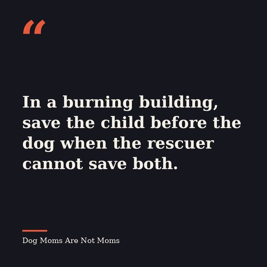 Quote card from Dog Moms Are Not Moms: &ldquo;In a burning building, save the child before the dog when the rescuer cannot save both.&rdquo;