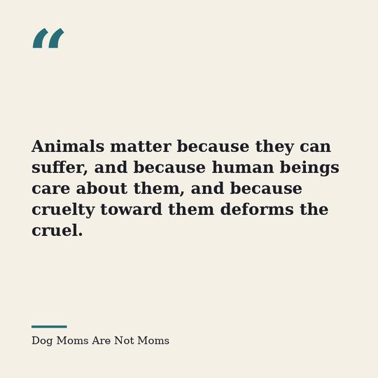 Quote card from Dog Moms Are Not Moms: &ldquo;Animals matter because they can suffer, and because human beings care about them, and because cruelty toward them deforms the cruel.&rdquo;